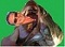 Korisnikov avatar